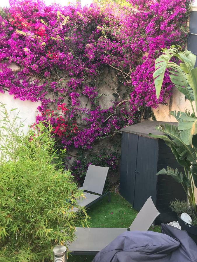 Studio Tout A Pieds Sanary-sur-Mer Esterno foto